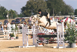 Horse jumping over an obstacle